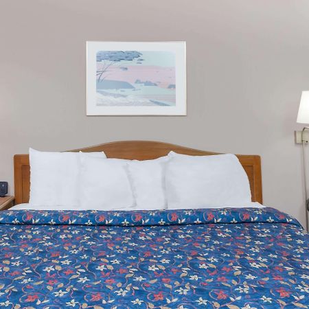 Days Inn By Wyndham Seguin Tx Extérieur photo